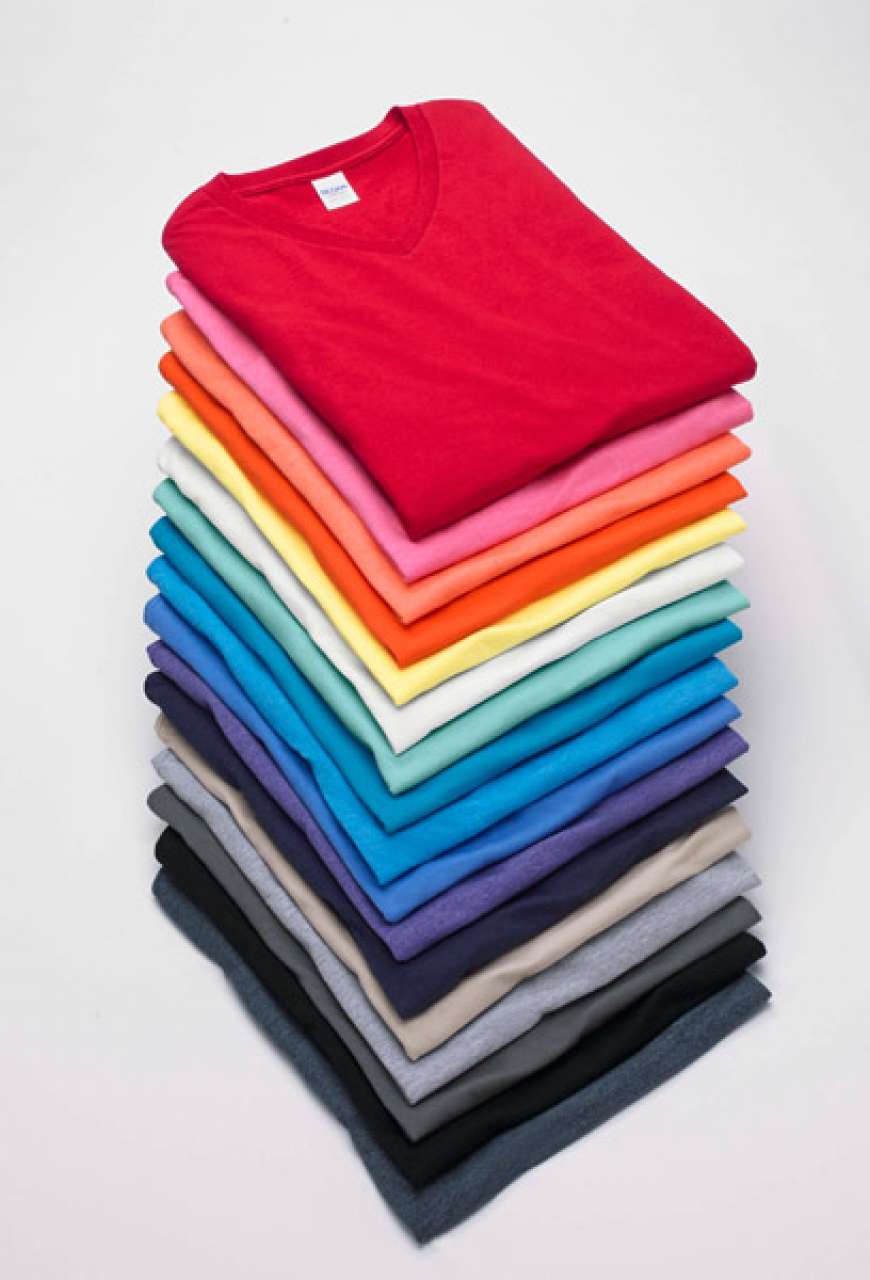SOFTSTYLE® ADULT T-SHIRT (2)