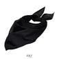 LE BANDANA DE SOL