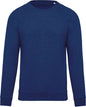 SWEAT-SHIRT HOMME EN COTON BIOLOGIQUE À COL RAS DU COU ET MANCHES RAGLAN