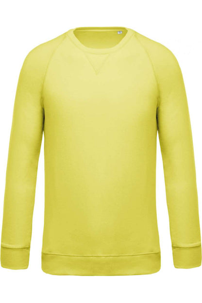 SWEAT-SHIRT HOMME EN COTON BIOLOGIQUE À COL RAS DU COU ET MANCHES RAGLAN
