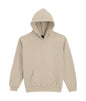 SWEAT À CAPUCHE EN POLAIRE MOYENNE SOFTSTYLE® POUR JEUNES