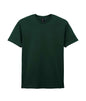 SOFTSTYLE® ADULT T-SHIRT (1)
