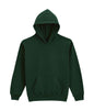 SWEAT À CAPUCHE EN POLAIRE MOYENNE SOFTSTYLE® POUR JEUNES