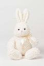 LAPIN