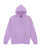 SWEAT-SHIRT À CAPUCHE POUR ADULTE HEAVY BLEND™ (1)