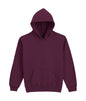 SWEAT À CAPUCHE EN POLAIRE MOYENNE SOFTSTYLE® POUR JEUNES