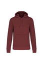SWEAT-SHIRT À CAPUCHE ÉCOLOGIQUE POUR HOMME