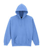 HEAVY BLEND™ ADULT HOODED SWEATSHIRT (2)