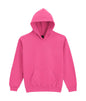 SWEAT À CAPUCHE EN POLAIRE MOYENNE SOFTSTYLE® POUR JEUNES