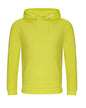 SWEAT À CAPUCHE UNIVERSITAIRE
