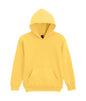 SWEAT À CAPUCHE EN POLAIRE MOYENNE SOFTSTYLE® POUR JEUNES