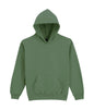 SWEAT À CAPUCHE EN POLAIRE MOYENNE SOFTSTYLE® POUR JEUNES