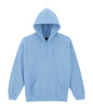 SWEAT-SHIRT À CAPUCHE POUR ADULTE HEAVY BLEND™ (1)