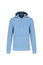 SWEAT-SHIRT À CAPUCHE ÉCOLOGIQUE POUR HOMME