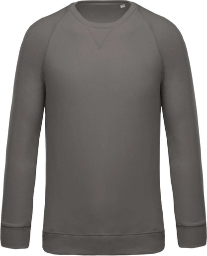 SWEAT-SHIRT HOMME EN COTON BIOLOGIQUE À COL RAS DU COU ET MANCHES RAGLAN