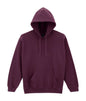 HEAVY BLEND™ ADULT HOODED SWEATSHIRT (2)
