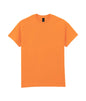 ULTRA COTTON™ ADULT T-SHIRT (1)