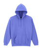 HEAVY BLEND™ ADULT HOODED SWEATSHIRT (2)