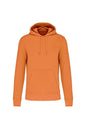 SWEAT-SHIRT À CAPUCHE ÉCOLOGIQUE POUR HOMME