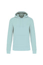 SWEAT-SHIRT À CAPUCHE ÉCOLOGIQUE POUR HOMME