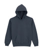 SWEAT À CAPUCHE EN POLAIRE MOYENNE SOFTSTYLE® POUR JEUNES
