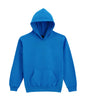 SWEAT À CAPUCHE EN POLAIRE MOYENNE SOFTSTYLE® POUR JEUNES