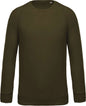 SWEAT-SHIRT HOMME EN COTON BIOLOGIQUE À COL RAS DU COU ET MANCHES RAGLAN