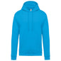 SWEAT-SHIRT À CAPUCHE POUR HOMME