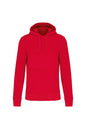 SWEAT-SHIRT À CAPUCHE ÉCOLOGIQUE POUR HOMME