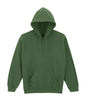 HEAVY BLEND™ ADULT HOODED SWEATSHIRT (2)