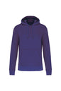SWEAT-SHIRT À CAPUCHE ÉCOLOGIQUE POUR HOMME
