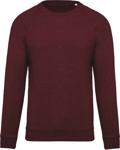 SWEAT-SHIRT HOMME EN COTON BIOLOGIQUE À COL RAS DU COU ET MANCHES RAGLAN