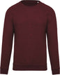 SWEAT-SHIRT HOMME EN COTON BIOLOGIQUE À COL RAS DU COU ET MANCHES RAGLAN