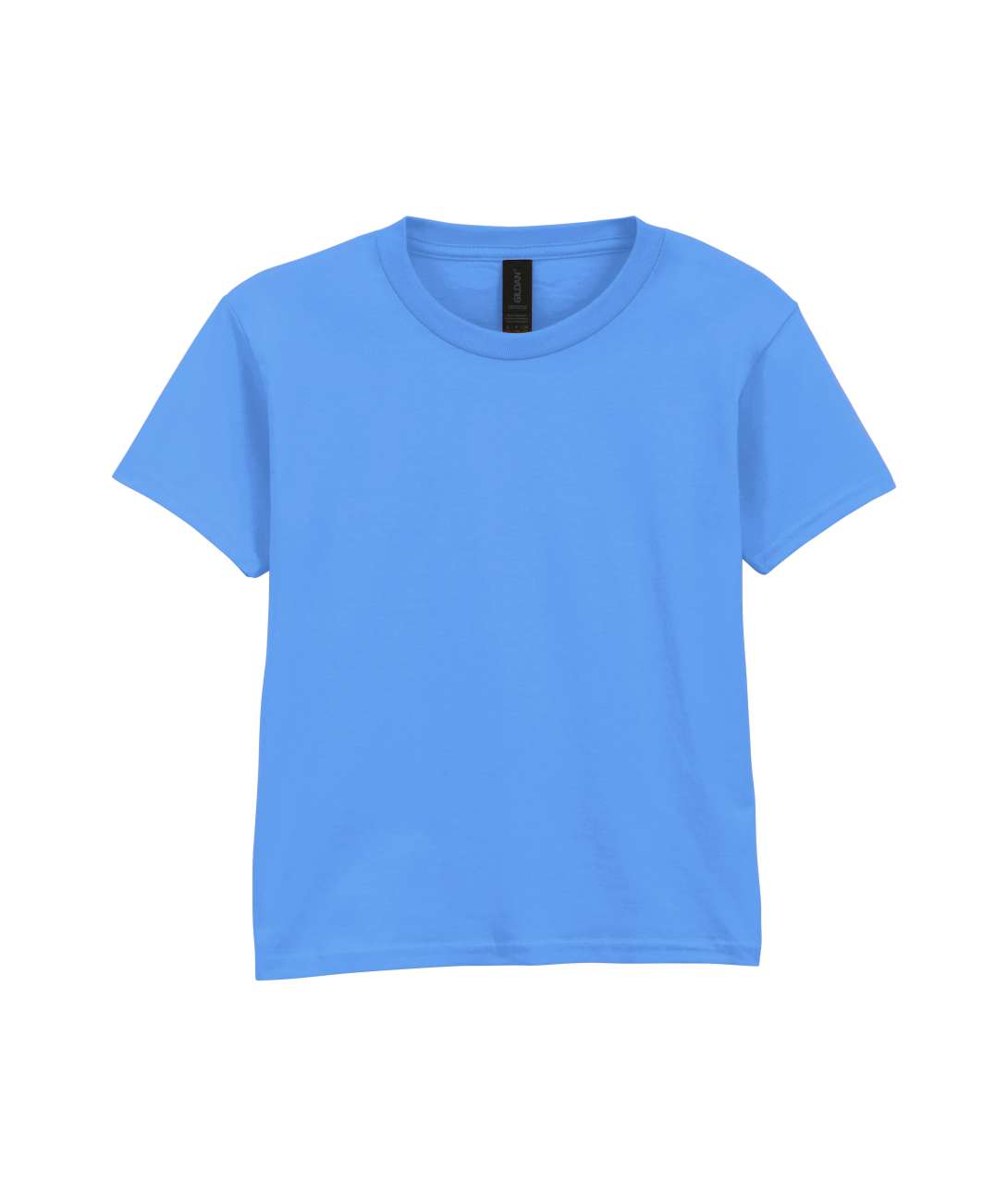 Softstyle ™ Youth T-Shirt in Carolina Blue
