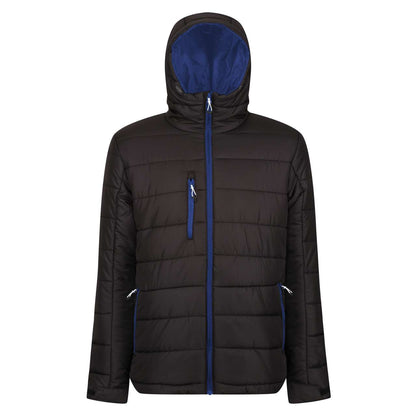 Navigate Thermal Jacket in Black/New Royal